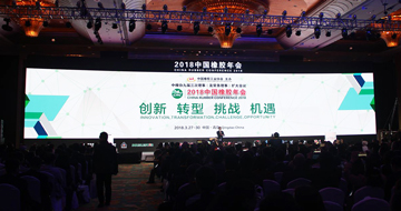 蓝英集团参加第十二届中国橡胶年会并作主题发言